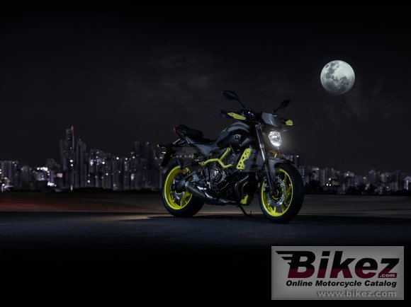 Yamaha MT-07 Moto Cage