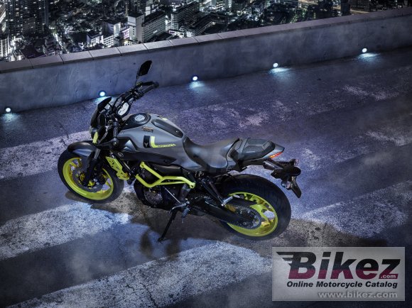 Yamaha MT-07 Moto Cage