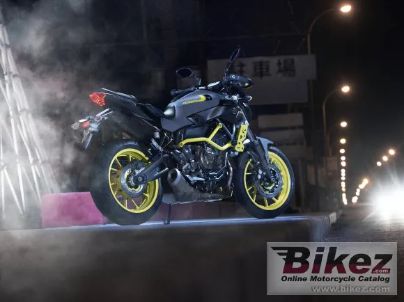 Yamaha MT-07 Moto Cage