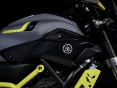 Yamaha MT-07 Moto Cage
