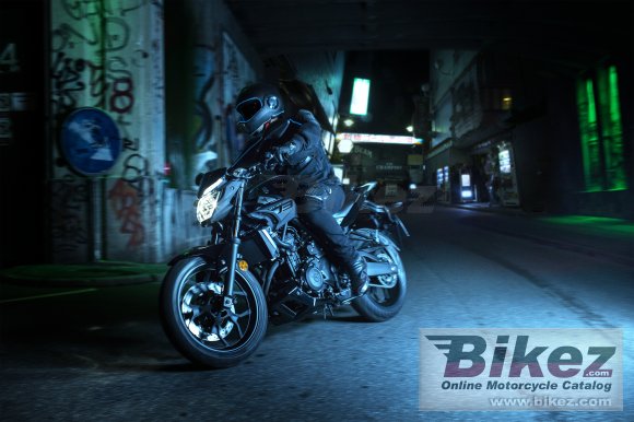 Yamaha MT-25