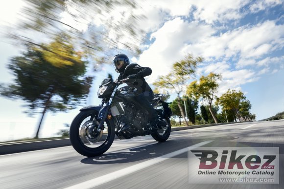 Yamaha MT-25