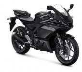 Yamaha R25