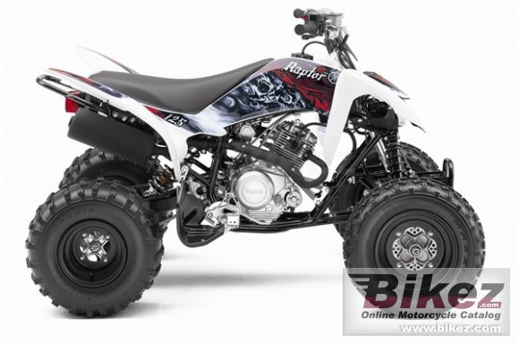 Yamaha Raptor 125