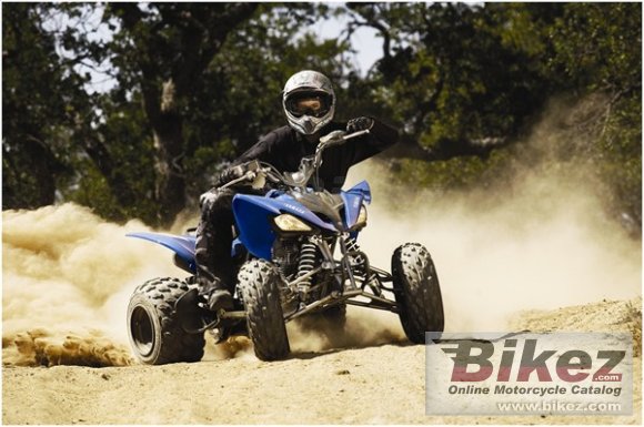 Yamaha Raptor 250