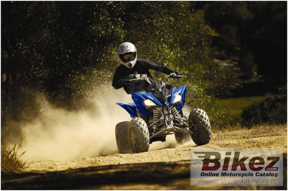 Yamaha Raptor 250