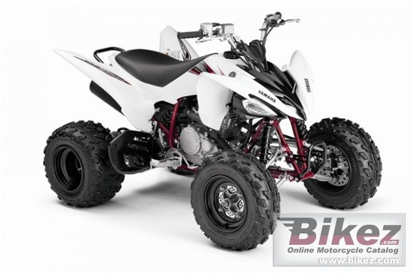 Yamaha Raptor 250