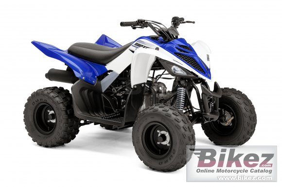 Yamaha Raptor 90