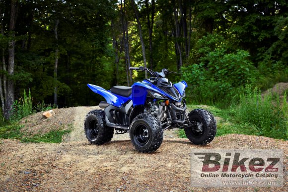 Yamaha Raptor 90