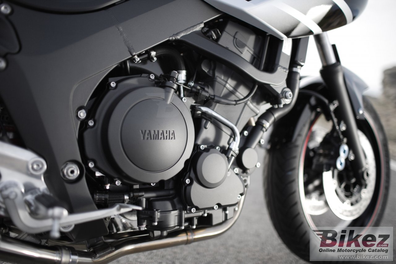 Yamaha TDM 900 - A