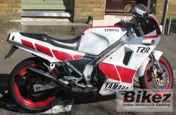 Yamaha TZR 250