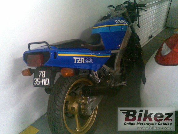 Yamaha TZR 250