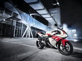 Yamaha_TZR50_WGP_50th_Anniversary_2012
