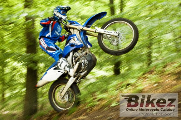 Yamaha WR 250 F