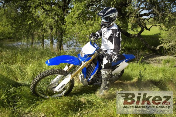 Yamaha WR 250 F