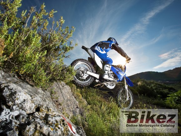 Yamaha WR250F