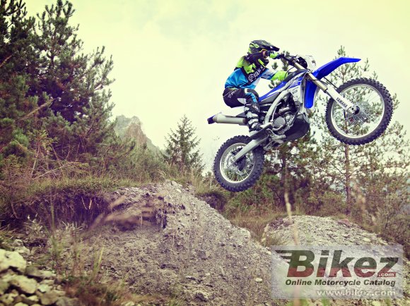 Yamaha WR250F