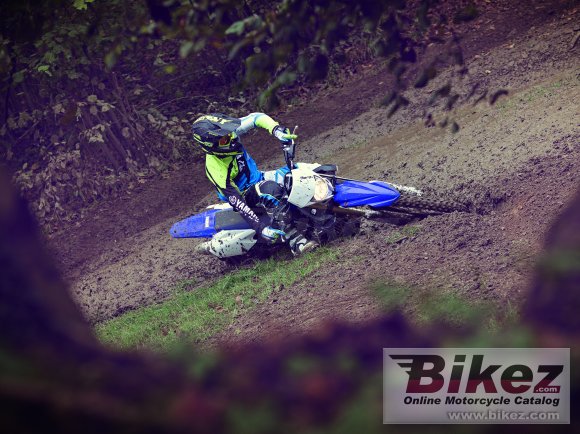 Yamaha WR250F