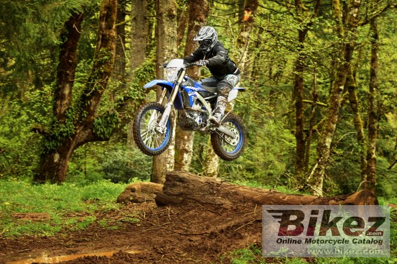 Yamaha WR250F