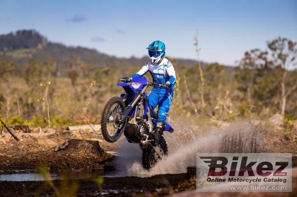 Yamaha WR250F