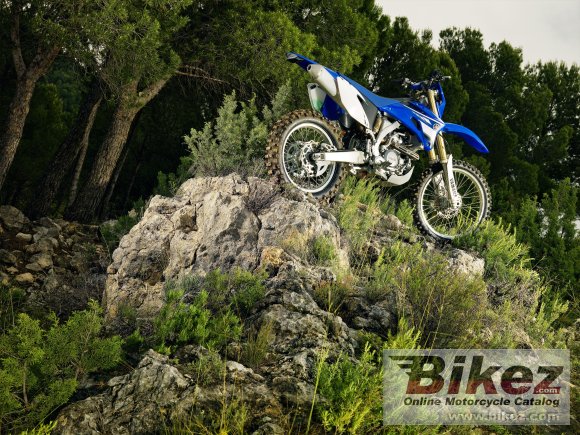 Yamaha WR250F