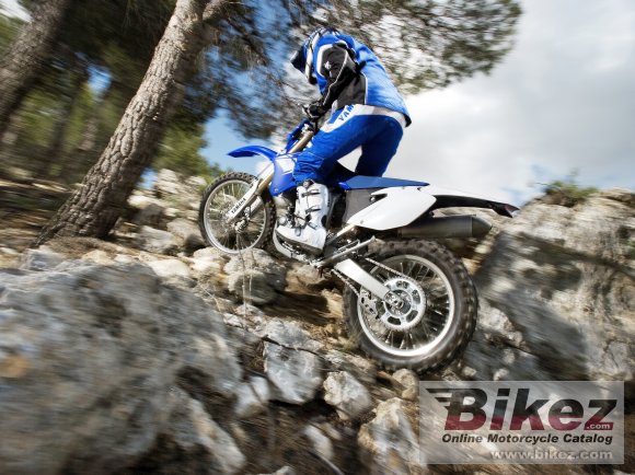 Yamaha WR250F