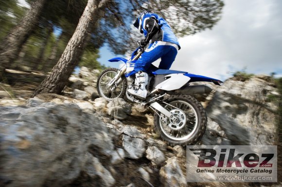 Yamaha WR250F