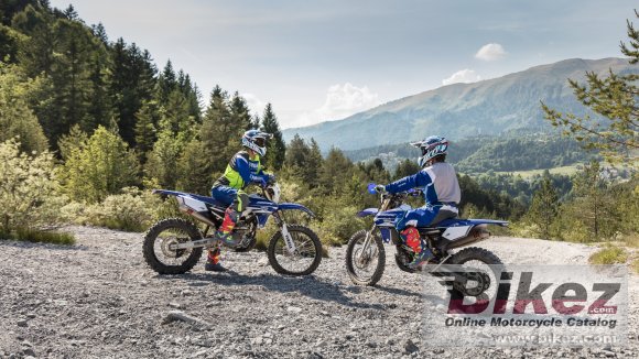 Yamaha WR250F EnduroGP