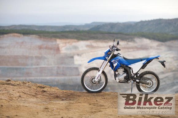 Yamaha WR250R