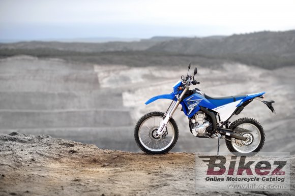 Yamaha WR250R