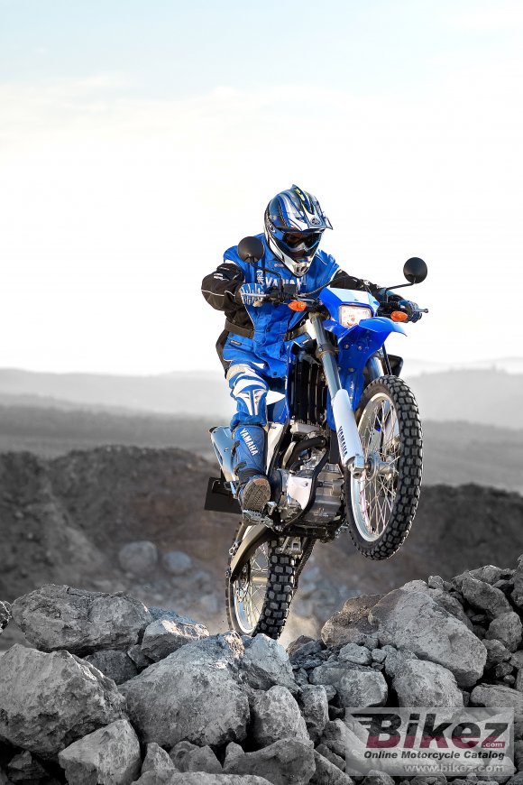 Yamaha WR250R