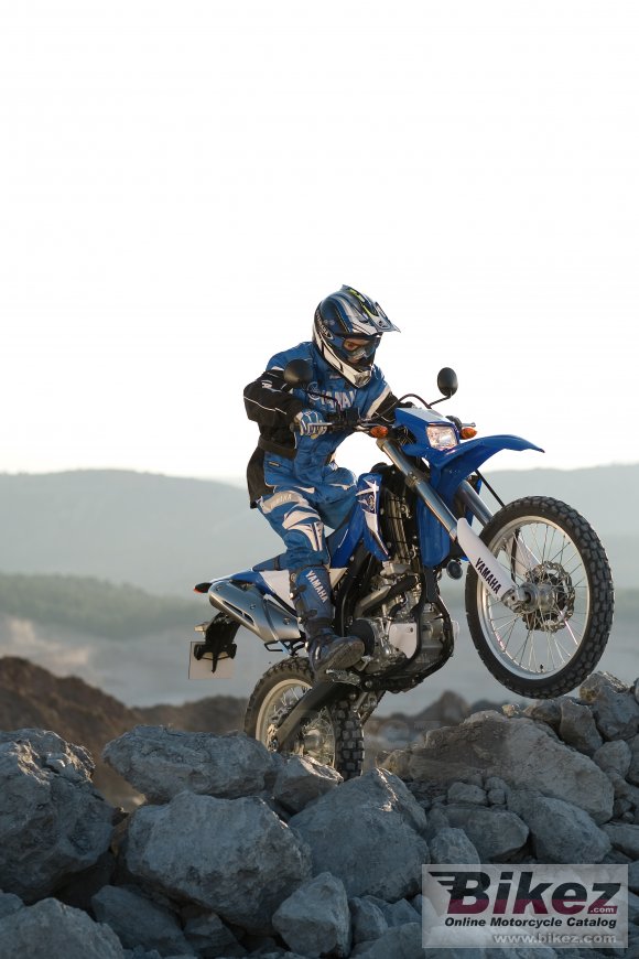 Yamaha WR250R