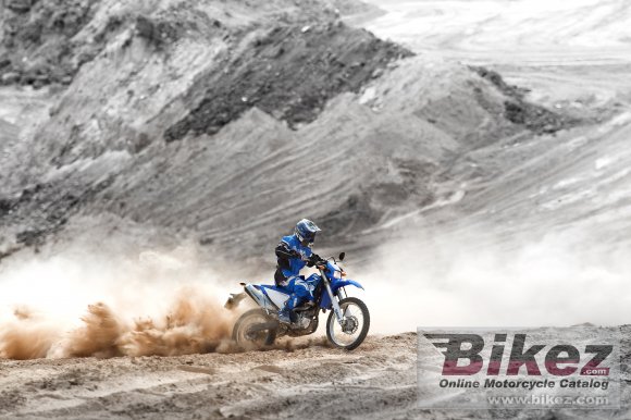 Yamaha WR250R