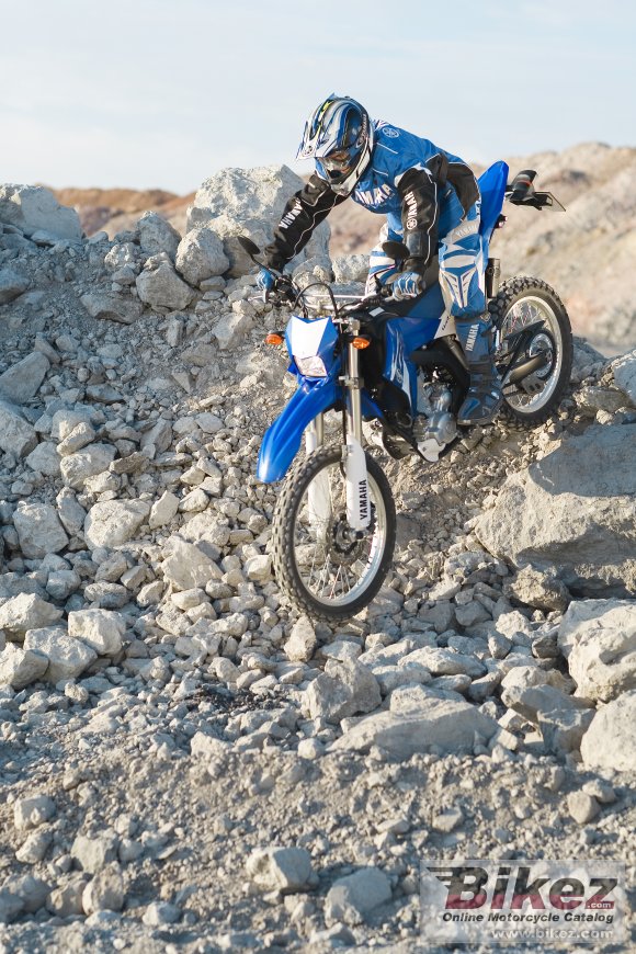 Yamaha WR250R