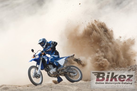 Yamaha WR250R