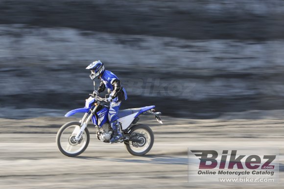 Yamaha WR250R