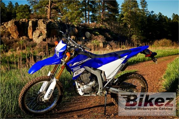 Yamaha WR250R