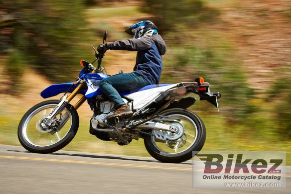 Yamaha WR250R