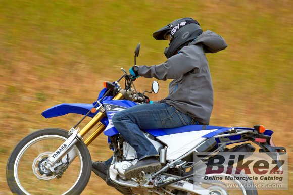 Yamaha WR250R