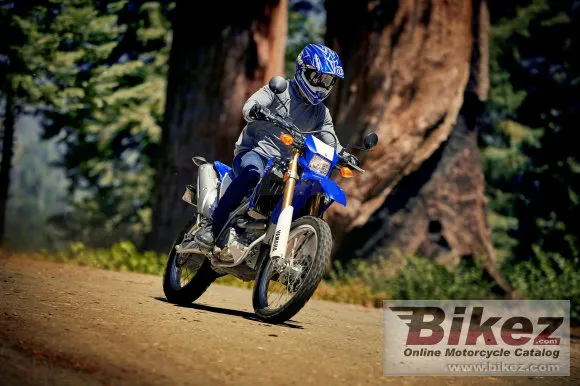 Yamaha WR250R