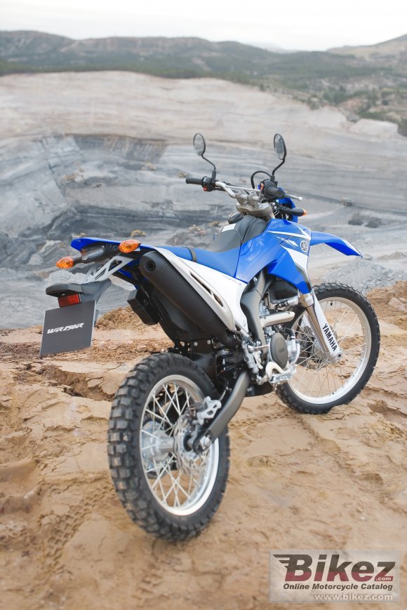 Yamaha WR250R