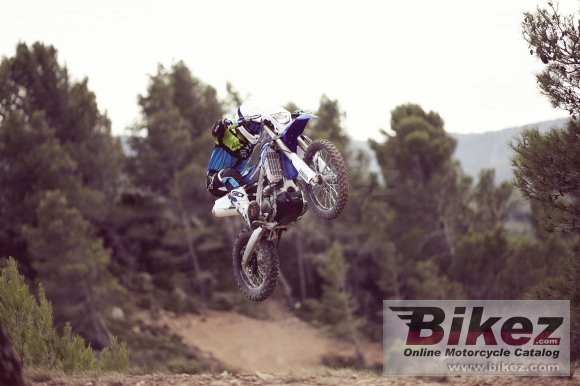 Yamaha WR450F