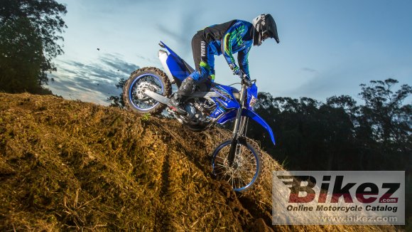 Yamaha WR450F