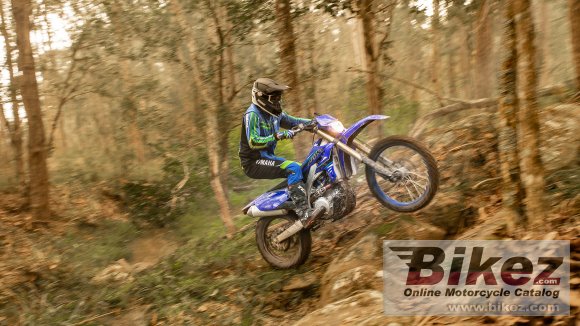 Yamaha WR450F