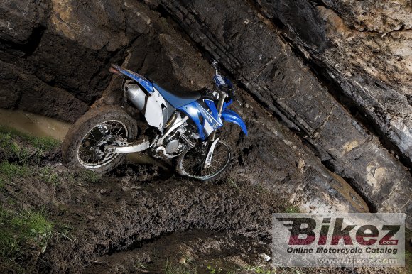 Yamaha WR450F