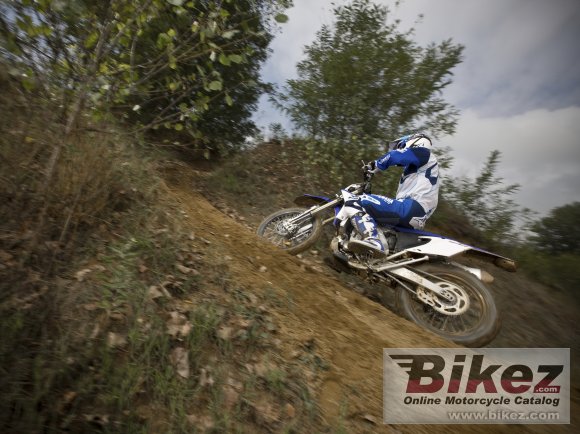 Yamaha WR450F