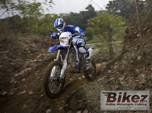 Yamaha WR450F