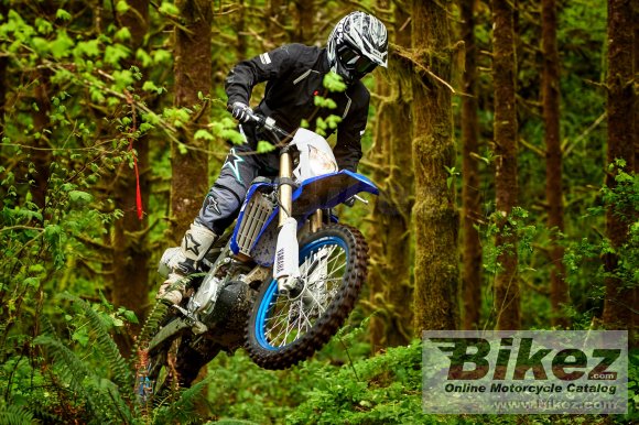 Yamaha WR450F