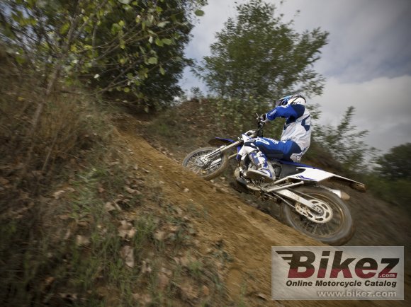 Yamaha WR450F