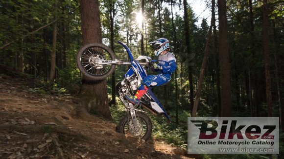 Yamaha WR450F EnduroGP